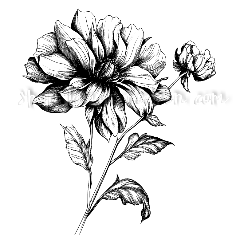 DIGITAL DOWNLOAD FILE- Black & White Flowers