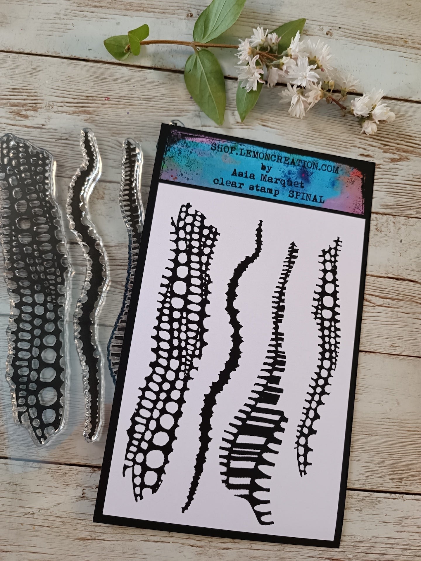 Set of photopolymer stamps- SPINAL