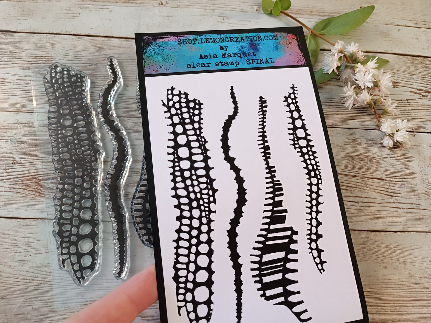 Set of photopolymer stamps- SPINAL