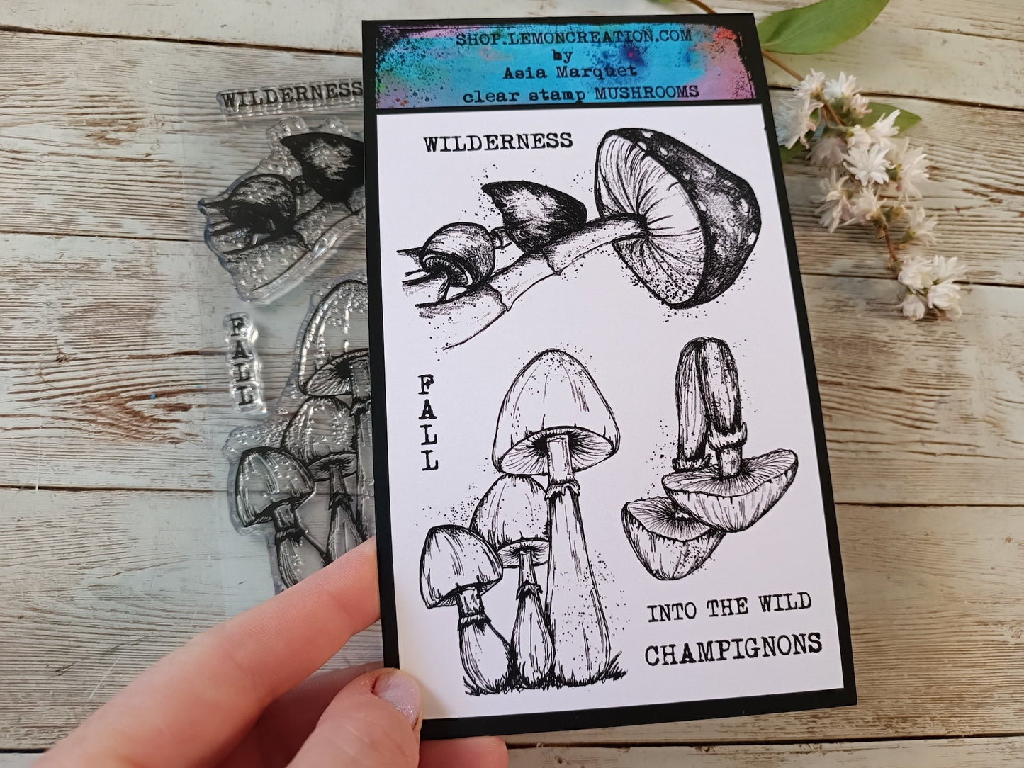 Set of photopolymer stamps- MUSHROOMS