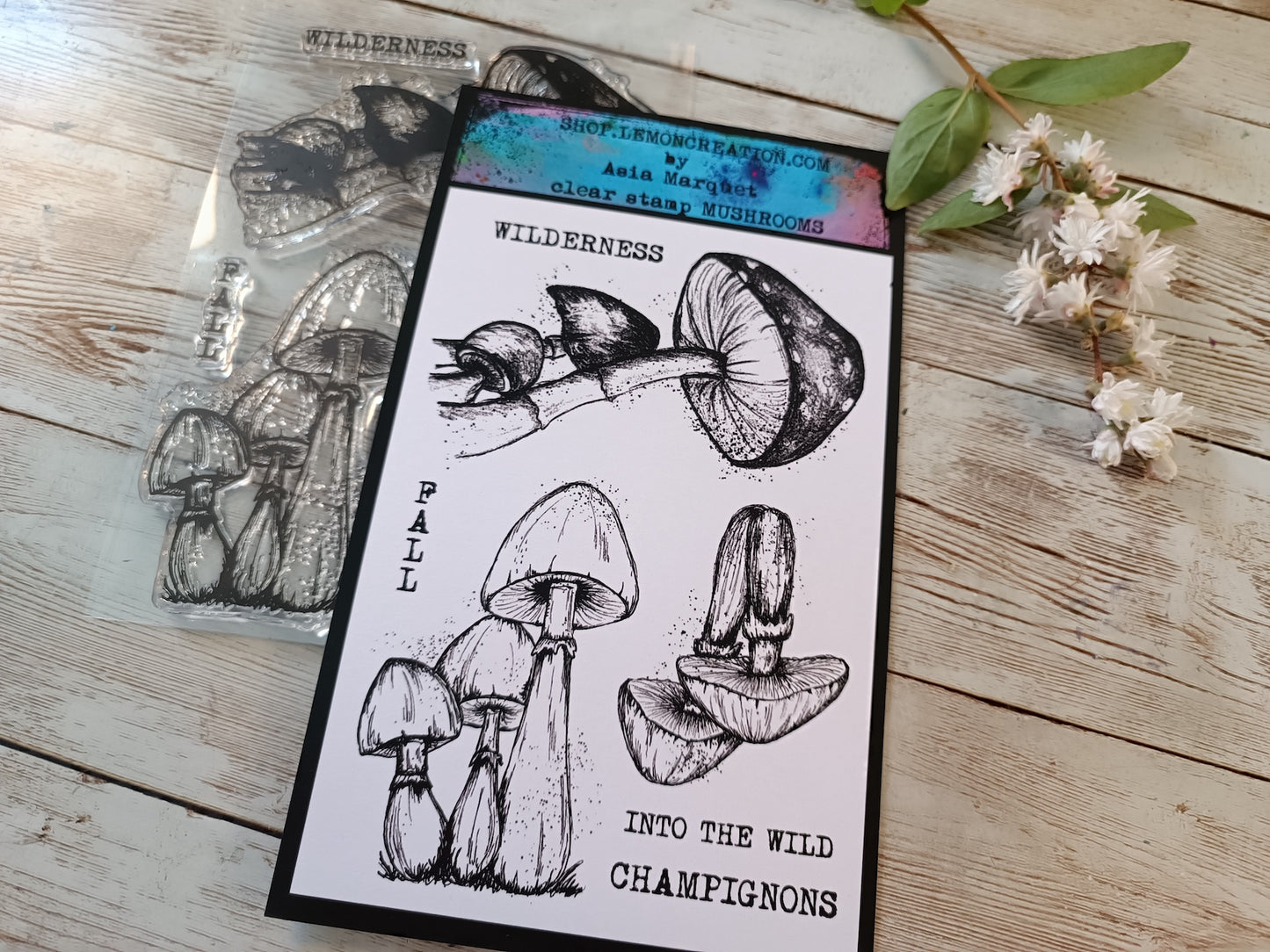Set of photopolymer stamps- MUSHROOMS