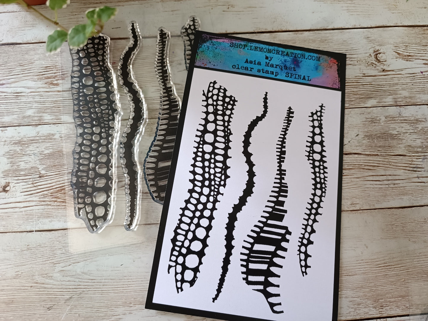Set of photopolymer stamps- SPINAL