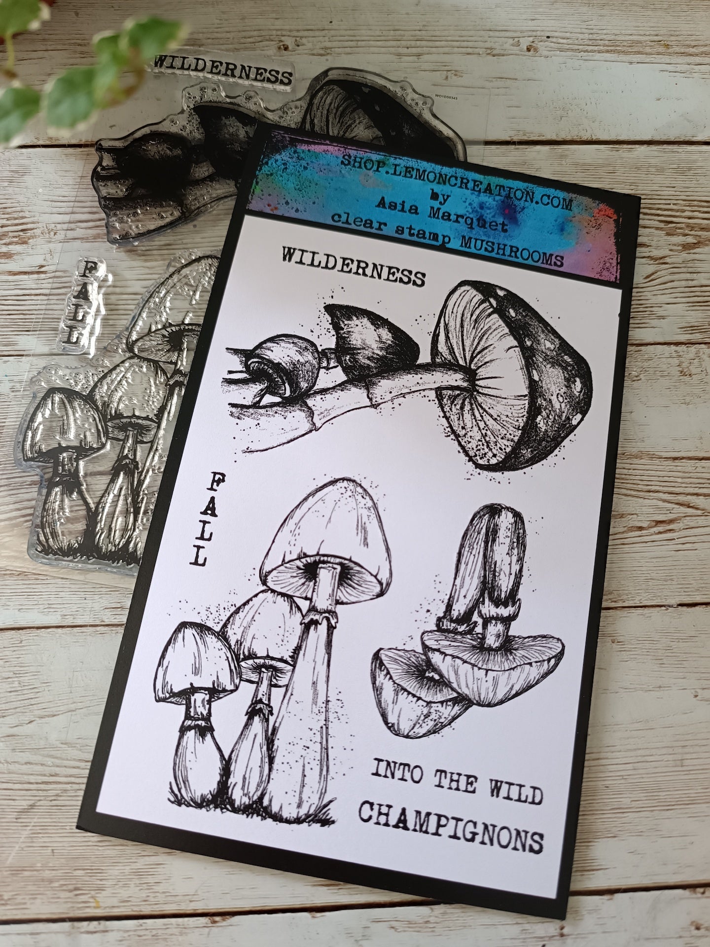 Set of photopolymer stamps- MUSHROOMS
