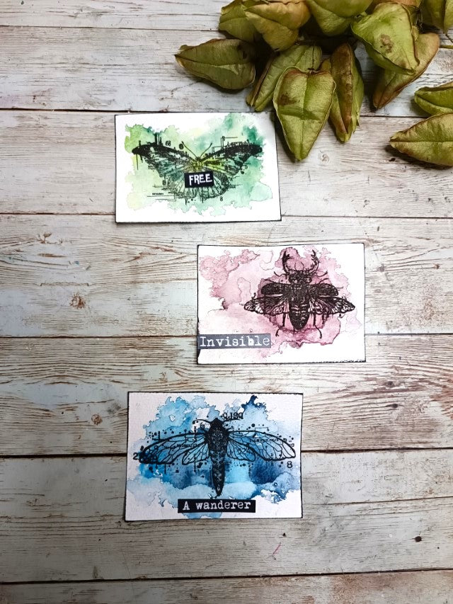 Set of photopolymer stamps- YOU BUG ME