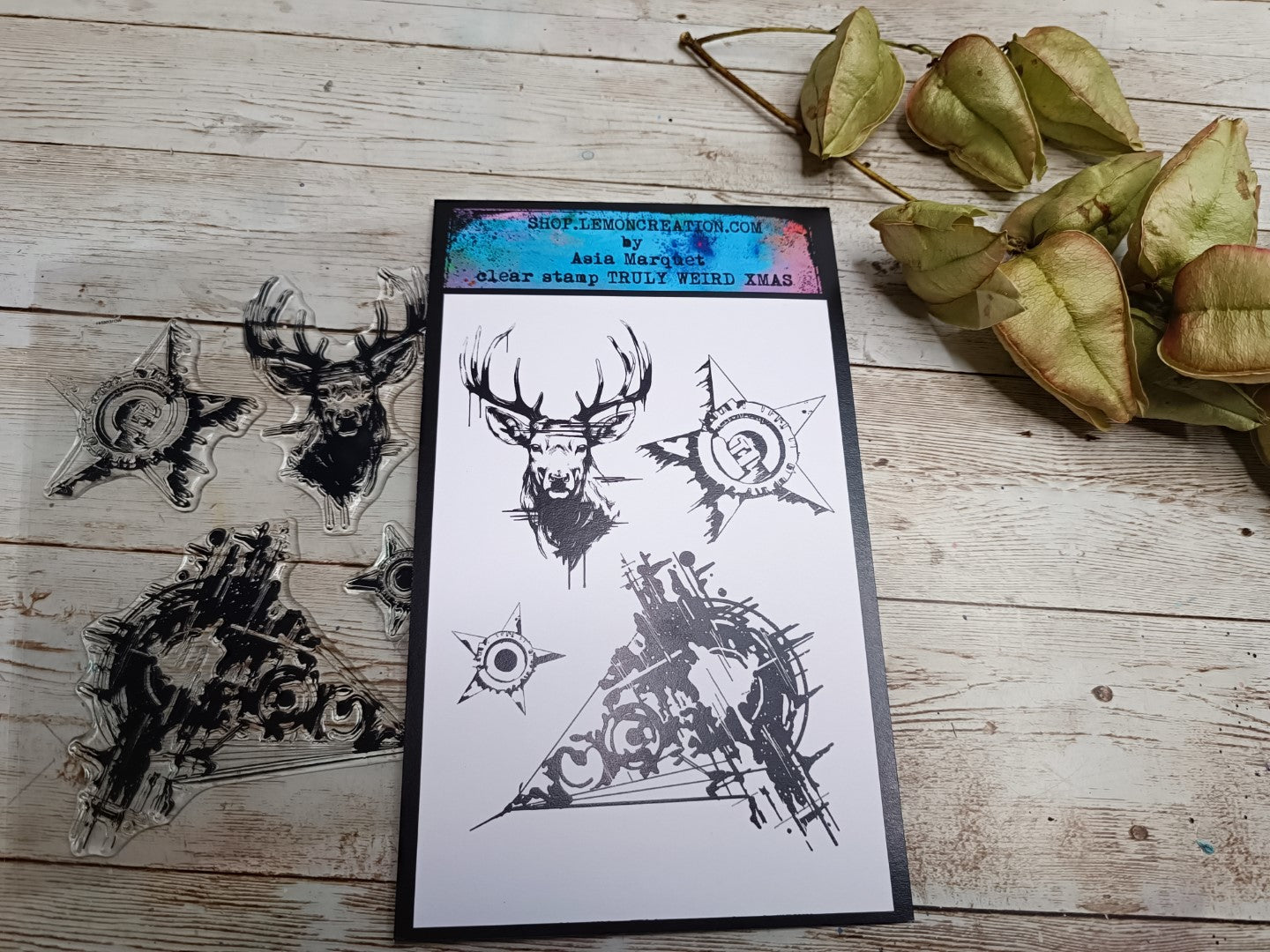 Set of Photopolymer Stamps-  TRULY WEIRD XMAS