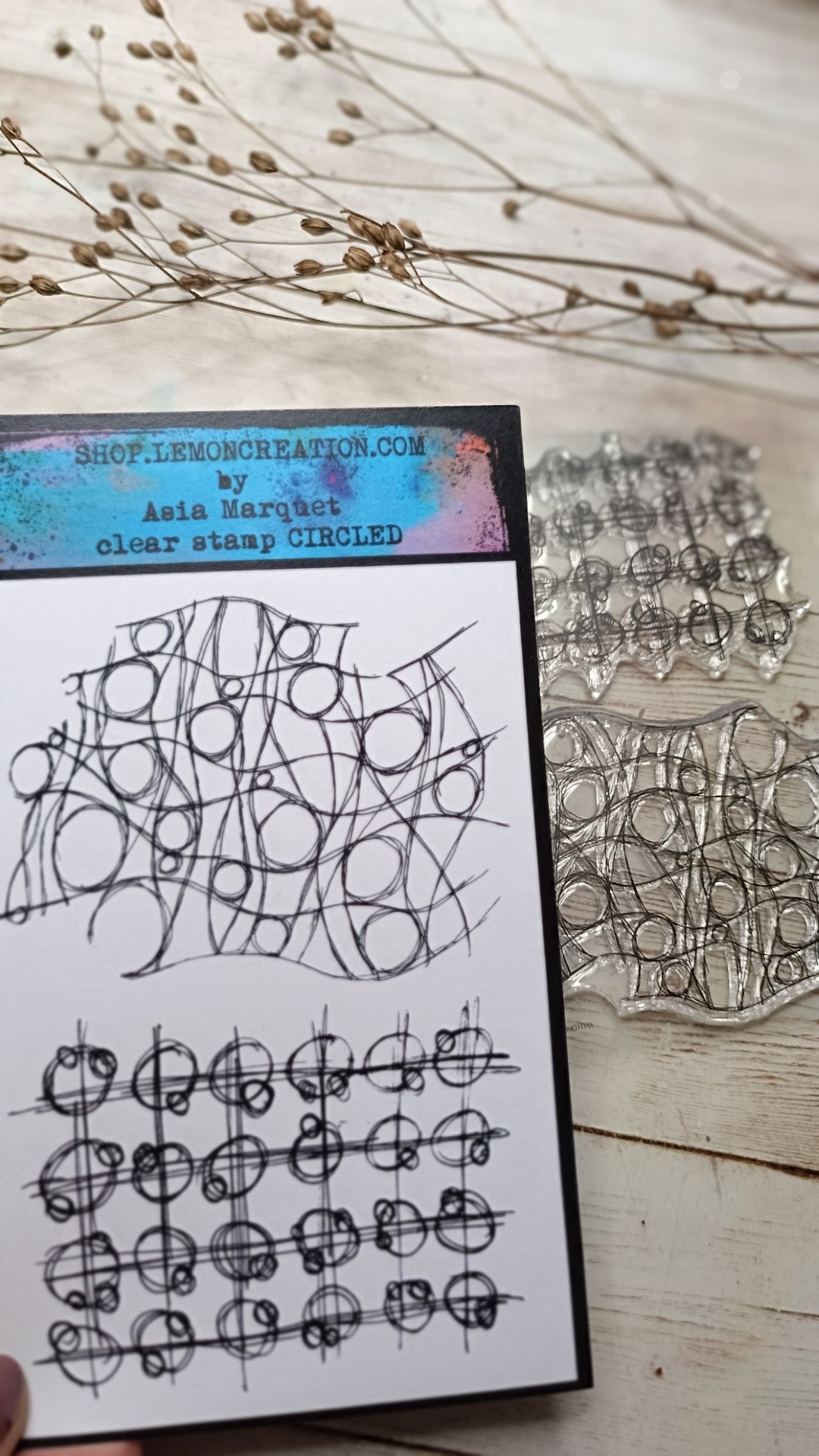 Set of photopolymer stamps- CIRCLED