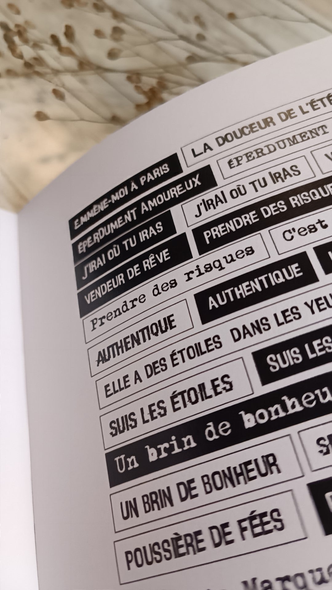 MOTS- Version Française- Really Silly Words