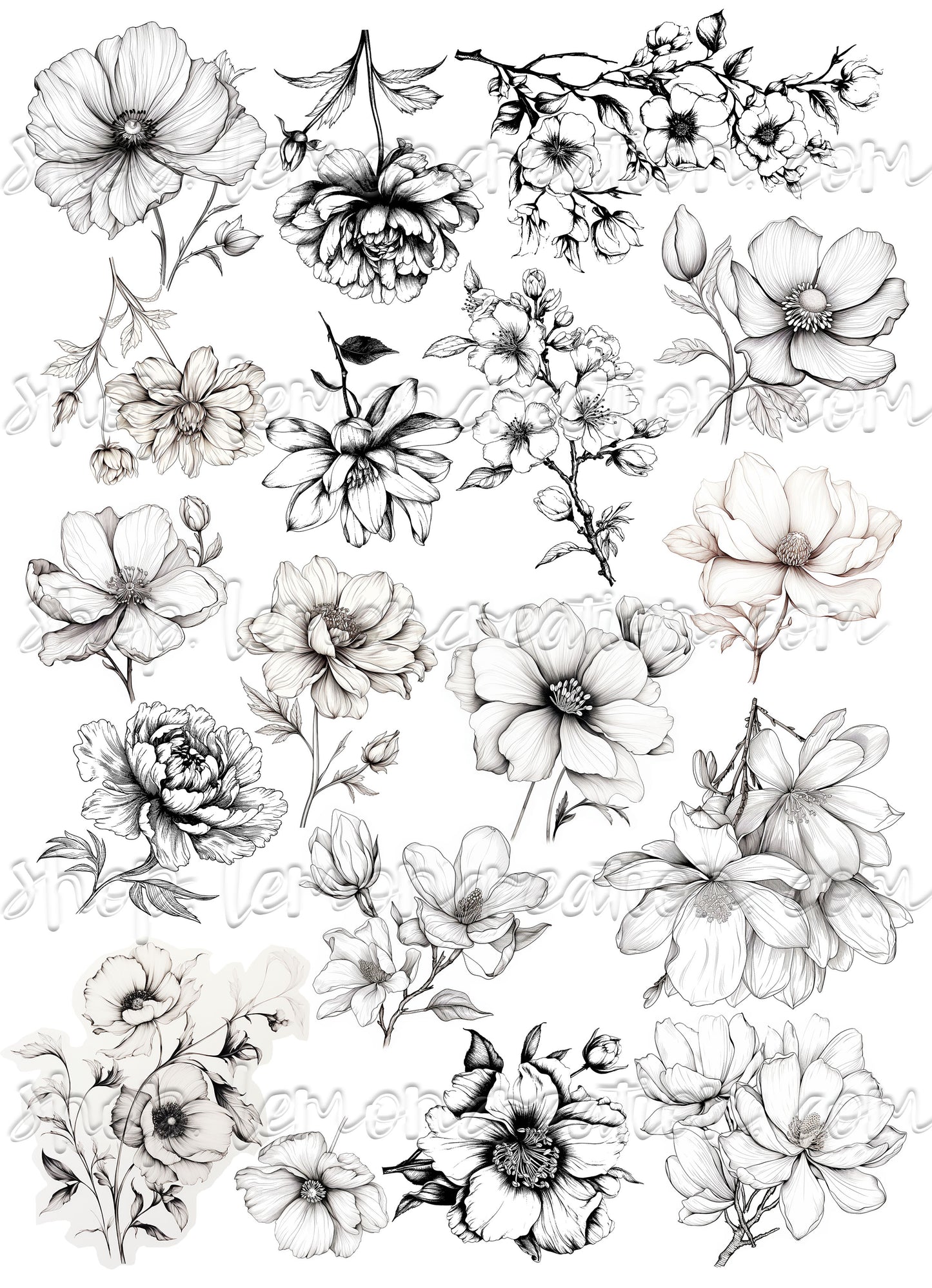 DIGITAL DOWNLOAD FILE- Black & White Flowers