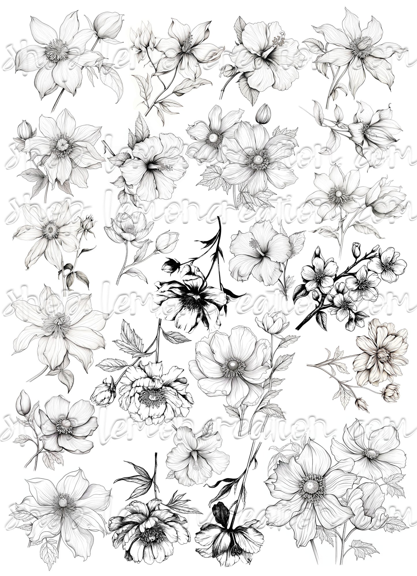 DIGITAL DOWNLOAD FILE- Black & White Flowers