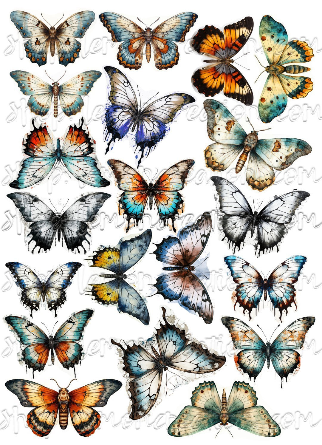 DIGITAL DOWNLOAD FILE- Butterflies and Moths