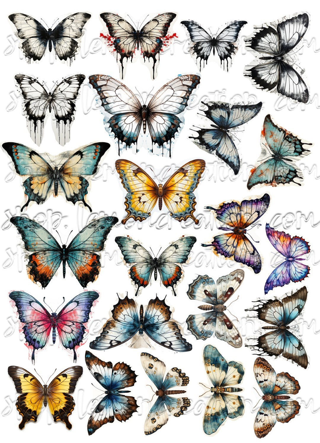 DIGITAL DOWNLOAD FILE- Butterflies and Moths