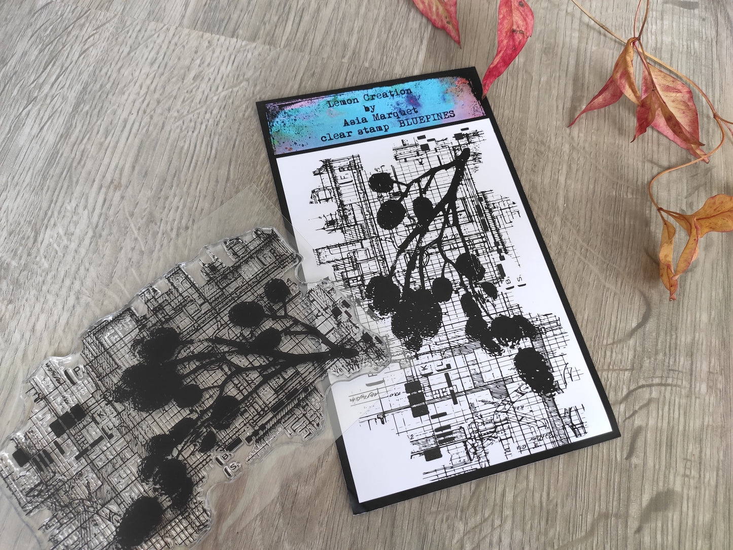 Set of photopolymer stamps- BLUEPINES