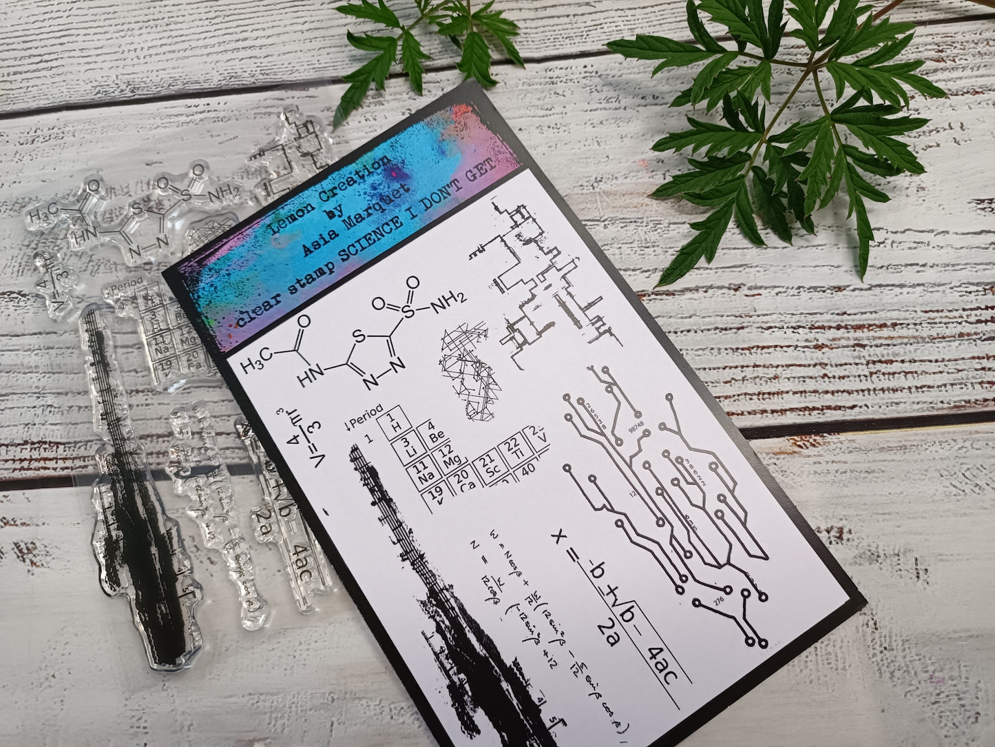 Set of photopolymer stamps- SCIENCE I DON'T GET