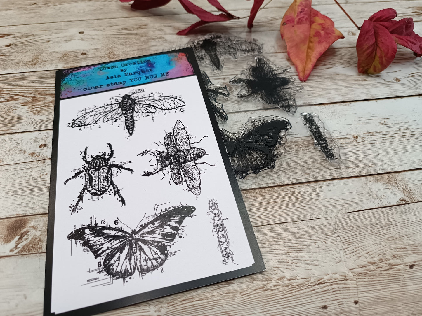 Set of photopolymer stamps- YOU BUG ME