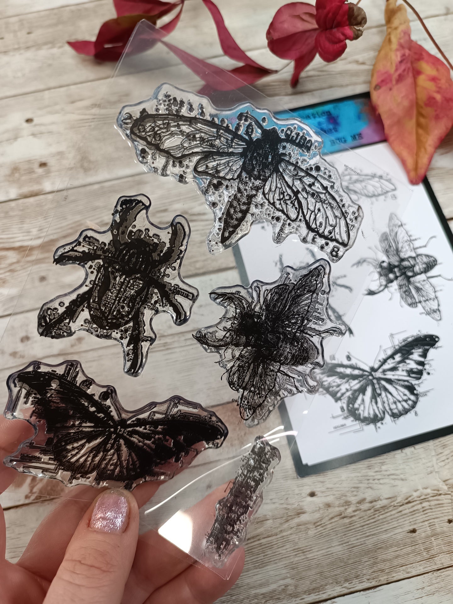 Set of photopolymer stamps- YOU BUG ME