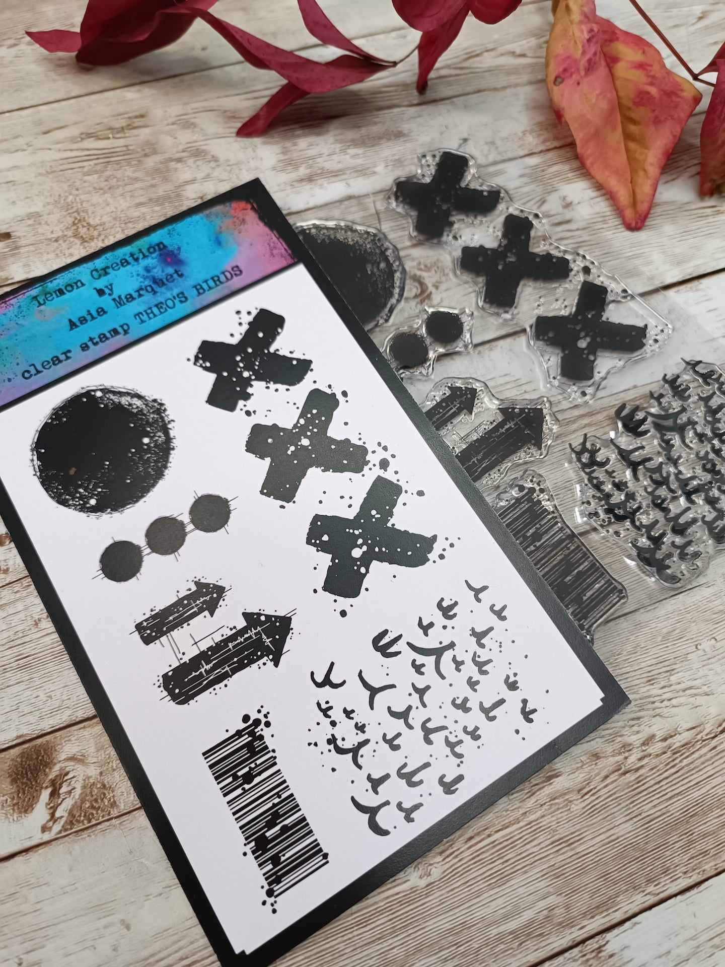 Set of photopolymer stamps- THEO'S BIRDS