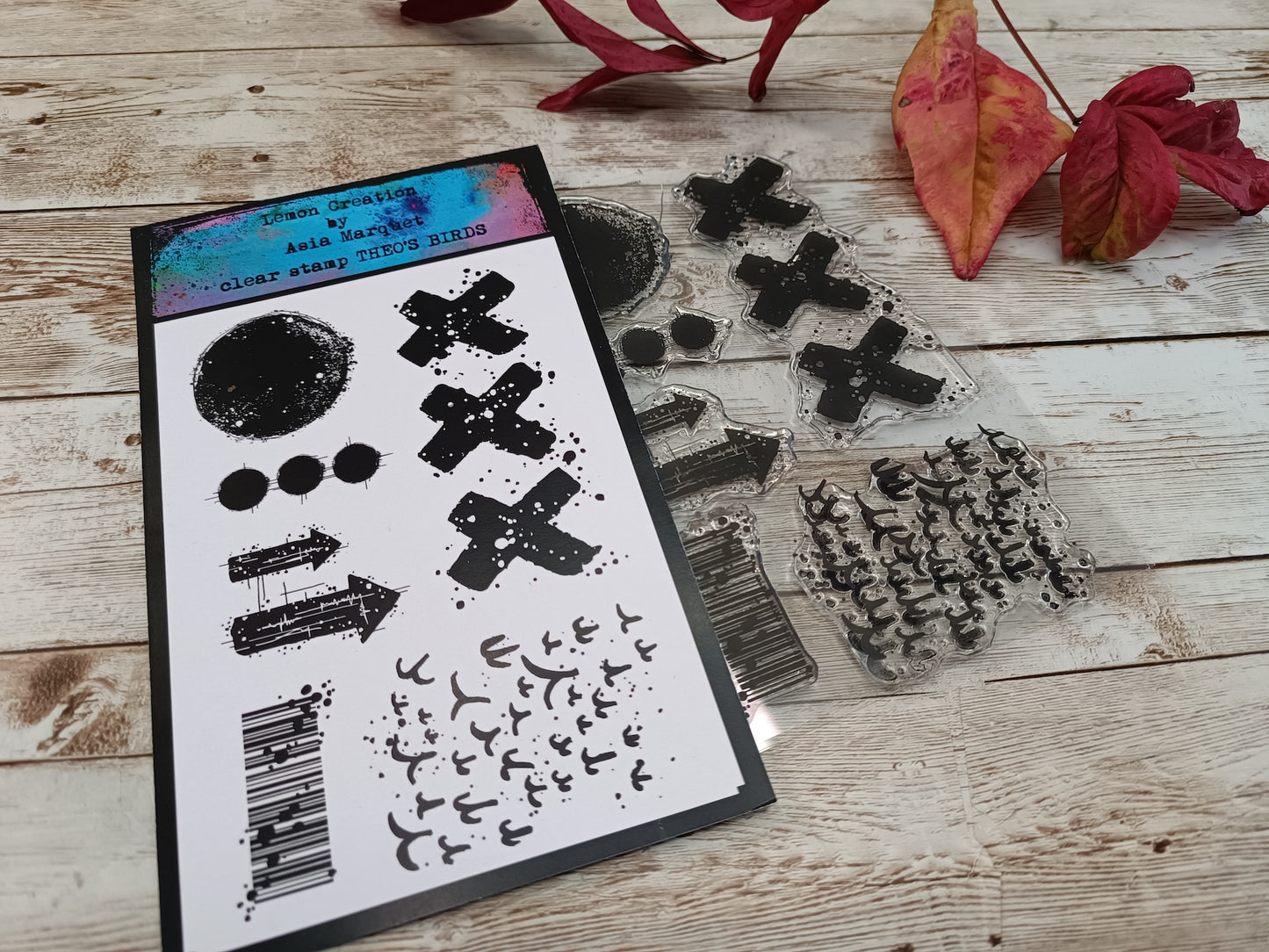 Set of photopolymer stamps- THEO'S BIRDS