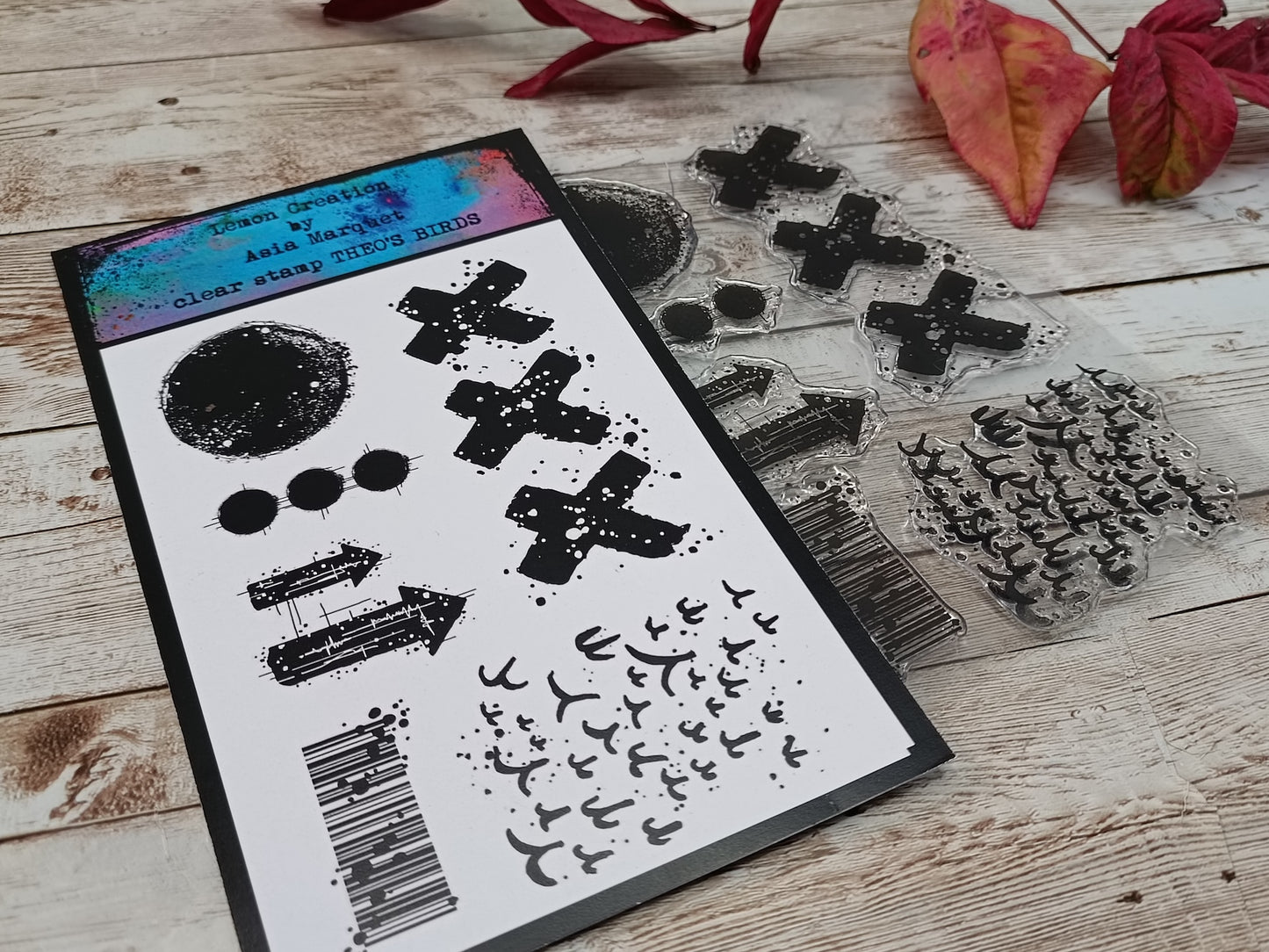 Set of photopolymer stamps- THEO'S BIRDS