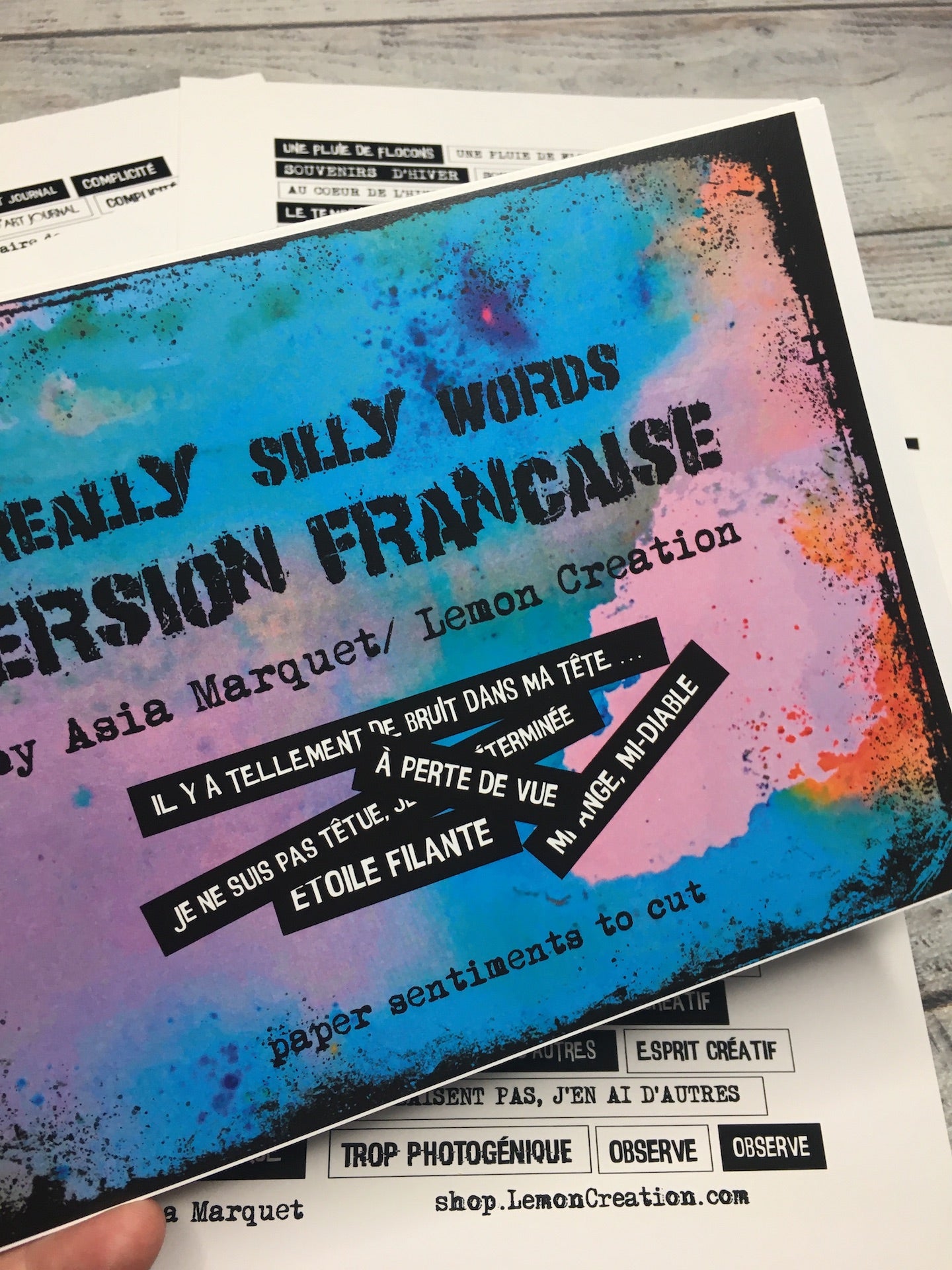 MOTS- Version Française- Really Silly Words