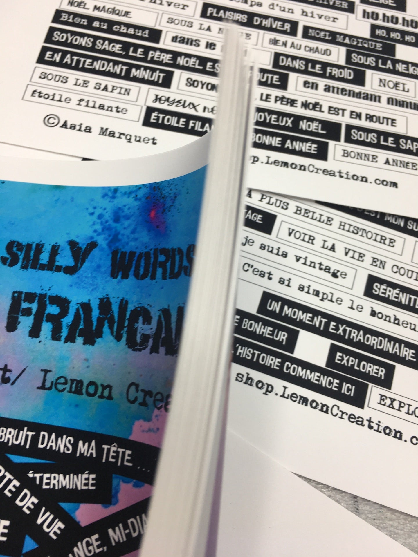MOTS- Version Française- Really Silly Words