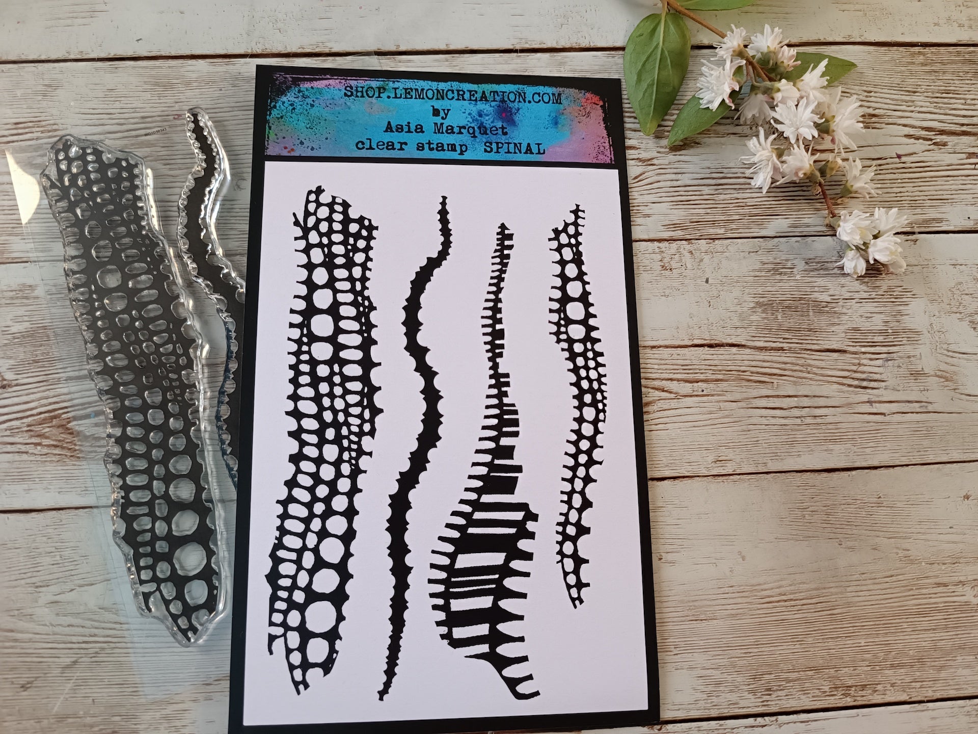 Set of photopolymer stamps- SPINAL