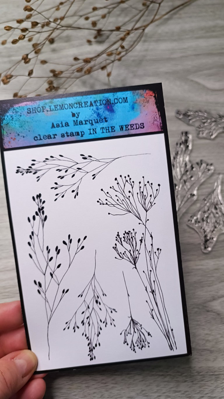 Set of photopolymer stamps- IN THE WEEDS