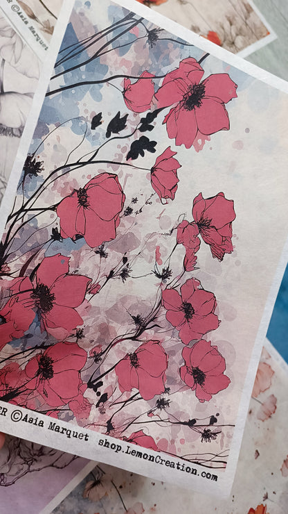 Rice Papers- RED collection