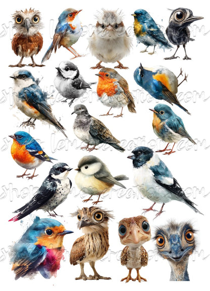 DIGITAL DOWNLOAD FILE- Feathered Files
