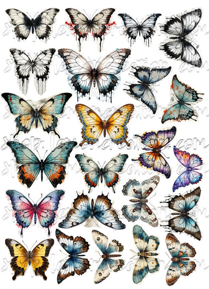 DIGITAL DOWNLOAD FILE- Butterflies and Moths