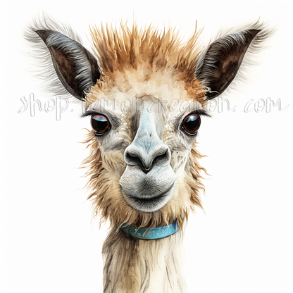 DIGITAL DOWNLOAD FILE- Animals  With a Twist