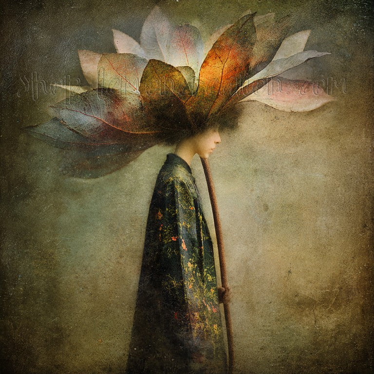 DIGITAL DOWNLOAD FILE- Petal Sorcery