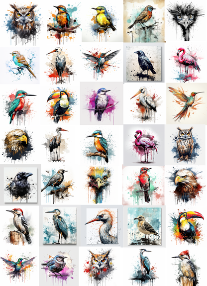 DIGITAL DOWNLOAD FILE- Funky Birds