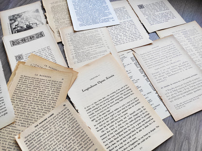 Set of vintage papers/ ephemera from old books: texts in English, German, Greek, Russian, French with drawings, for junk journal