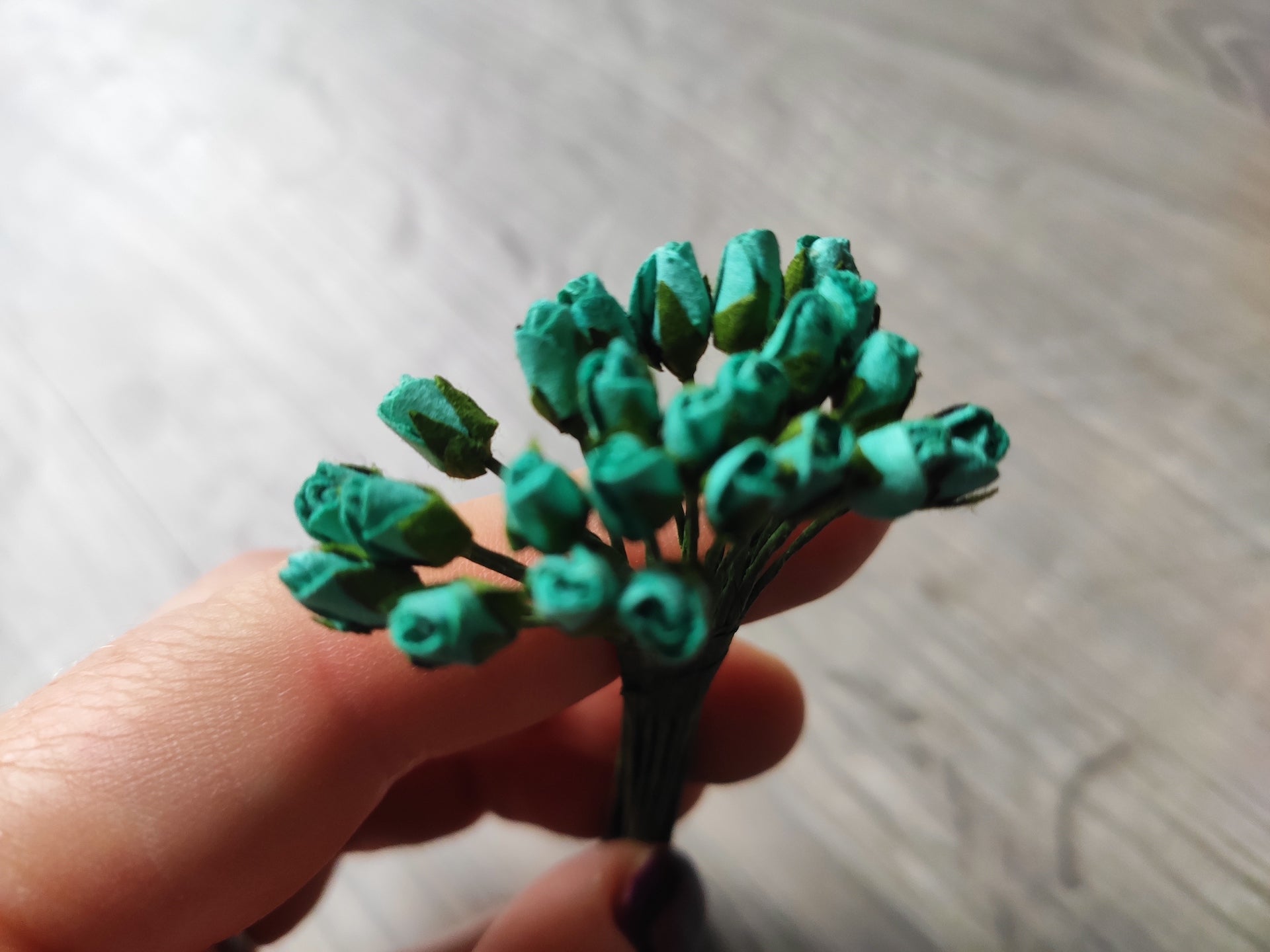 Set of tiny turquoise flowers